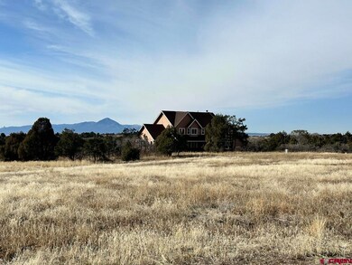 33350 Colorado 184, Mancos, CO 81328 - photo 6