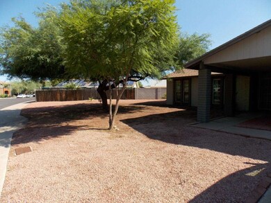 4 - Front yard