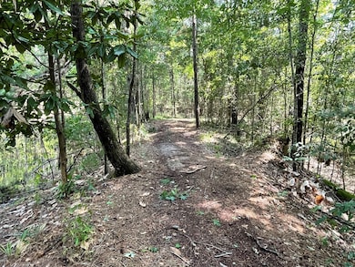 NA Reservoir Rd, Waynesboro, MS 39367 - photo 4