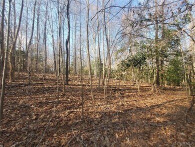 0 Cammack Dr unit 2204476, Ruther Glen, VA 22546 - photo 3