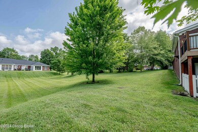 6906 Janes Farm Dr unit 6906, Louisville, KY 40228 - photo 7