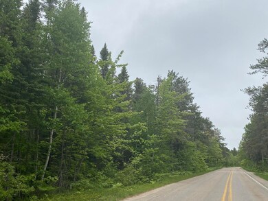 N Whitefish Point Road