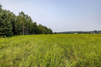 13 Acres Whitetail Ln, Tipler, WI 54542 - photo 6