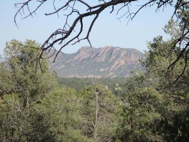 Photo 02
