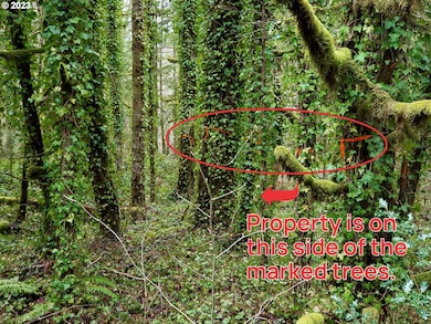 0 E Barlow Trail Rd unit 369670884, Brightwood, OR 97011 - photo 4