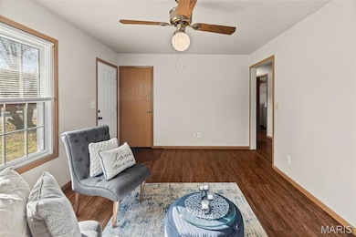 425 Meadow Dr, Troy, IL 62294 - photo 7