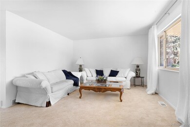 3084 E 132nd Ave, Thornton, CO 80241 - photo 6