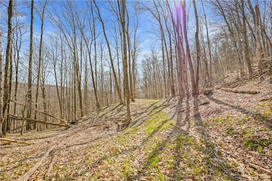 L9.113 Lutheranville Rd, Summit, NY 12175 - photo 5