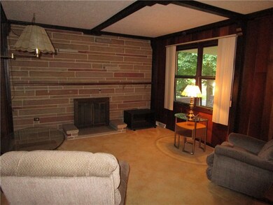 Stone - wood burning fireplace