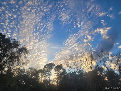 0 Octavia Ln unit 850173, Webster, FL 33597 - photo 2