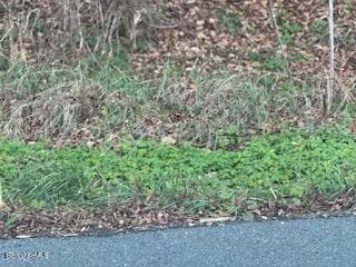 0 Clayton Mill River Rd, New Marlborough, MA 01244 - photo 2