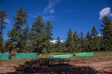 0 Lime Mesa Ct unit 707809, Durango, CO 81301 - photo 2