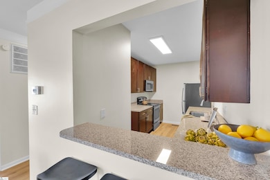 233 N Main St unit 405, Greenville, SC 29601 - photo 7