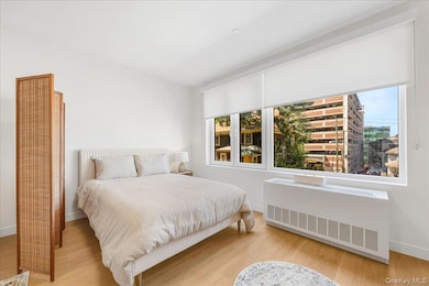 8 Chester Ave unit 309, White Plains, NY 10601 - photo 4