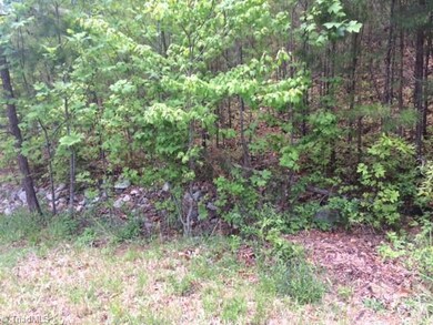 0 Northmont Lake Dr unit 64 885266, Asheboro, NC 27205 - photo 6