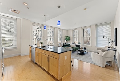 Lincoln Plaza II unit L312, Boston, MA 02111 - photo 6