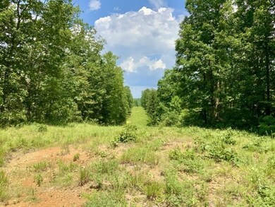 0 Bear Creek Rd unit 24203453, Waverly, TN 37185 - photo 4