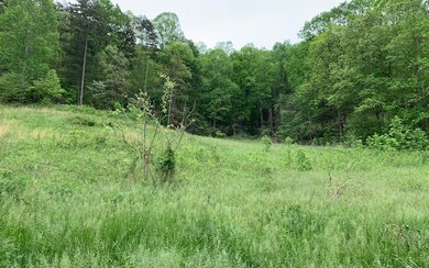 Additional View