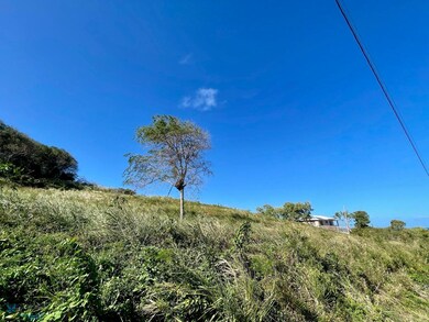 Km 5.9 Pr 987, Fajardo, PR 00738 - photo 3