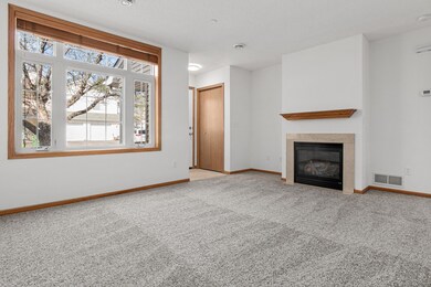 1963 114th Ave NW, Coon Rapids, MN 55433 - photo 4