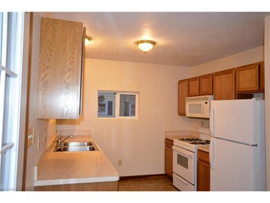 479 Vine St, Geneva, OH 44041 - photo 6