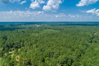 Drone View (9 of 22)
