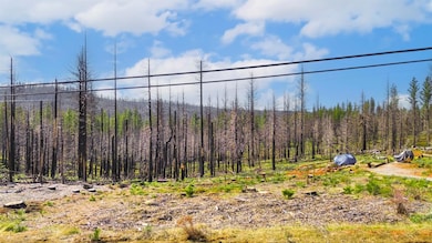 10020- Grizzly Flat Rd, Grizzly Flats, CA 95636 - photo 6