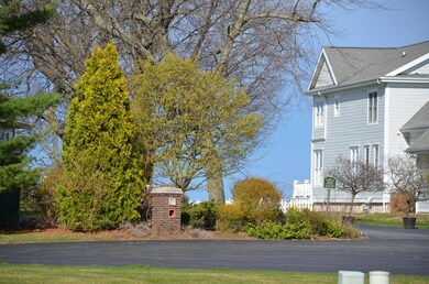 DSC_7297