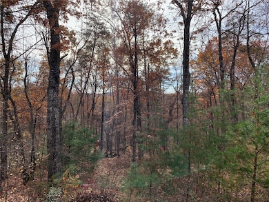 315 Highridge Pkwy, Marietta, SC 29661 - photo 4