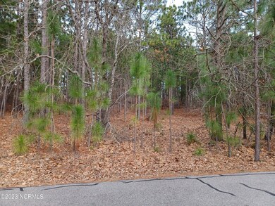 17 Woodland