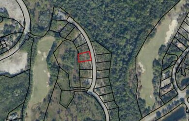 Screen Shot 2021-05-28 at 10.00.55 AM