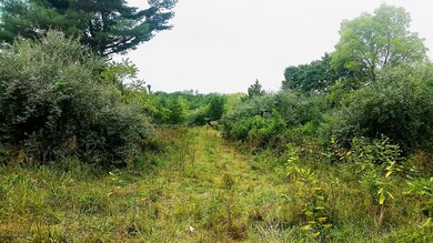 20160901_141747_resized