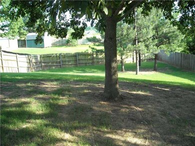 More of the huge backyard!