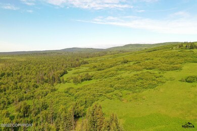 Alaskan Wildwood Ranch(r) P2 (2)