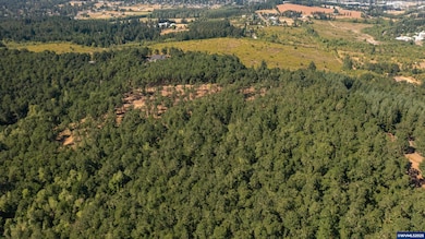 Parcel 2 S Kings Valley Hwy, Dallas, OR 97338 - photo 3