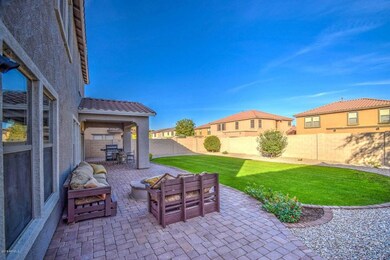 Backyard3