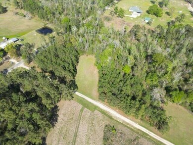 0 Jack Nelson Rd, Deridder, LA 70634 - photo 5