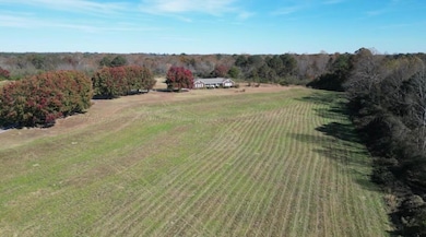 204 Pleasant Hill Rd, Double Springs, AL 35553 - photo 6