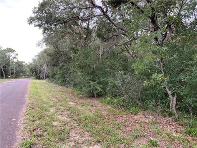 1627/1663 E Naperville Ln, Hernando, FL 34442 - photo 5