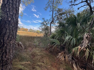 View of Nowell Creek from the property