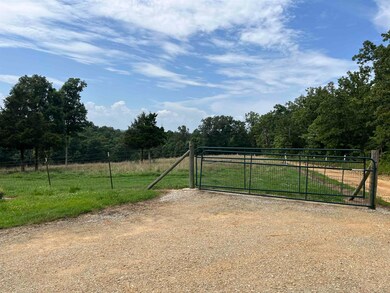 385 Walnut Grove Cir, Mammoth Spring, AR 72554 - photo 4