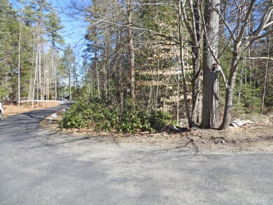 148 Krainewood Dr, Moultonborough, NH 03254 - photo 3