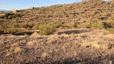 Open Hillside Lot