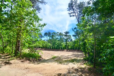 6 Majors Cove Ln, Edgartown, MA 02539 - photo 4