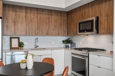 165 Hyde Park Ave unit 2, Jamaica Plain, MA 02130 - photo 6