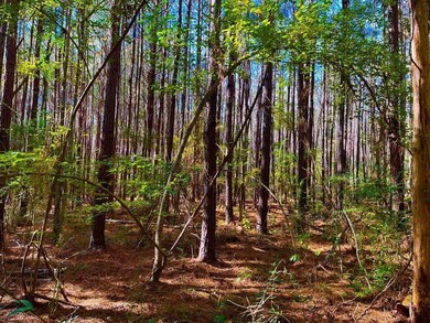 1000 Old Sylvarena Rd, Wesson, MS 39191 - photo 7