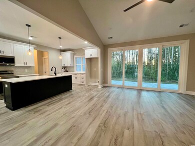 Kitchen with pendant lighting, light hardwood / wo