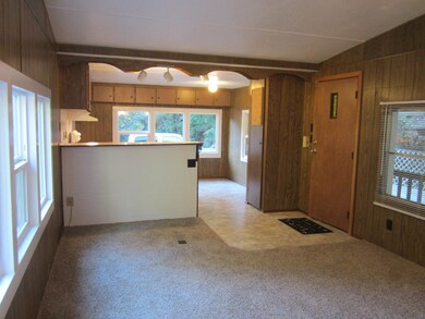 Living and kitchen