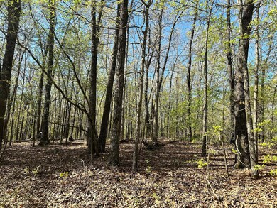 L42a & 43a Eaglecrest Rd, Cape Fair, MO 65624 - photo 6