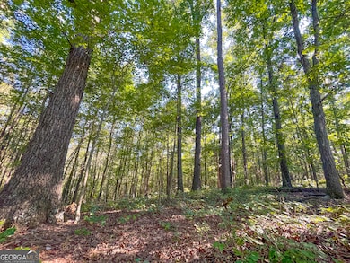 34 + - Acre On Ga Hwy 337, Lafayette, GA 30728 - photo 3